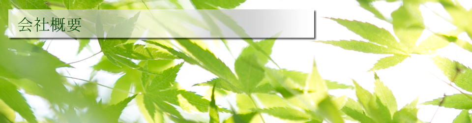 会社概要トップ